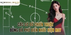 các sơ đồ chiến thuật bóng đá phổ biến nhất hiện nay