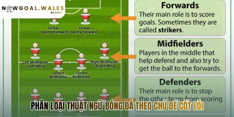 Thuật ngữ bóng đá từ cho người mới bắt đầu theo chủ đề
