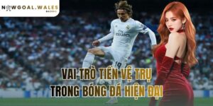 vai trò tiền vệ trụ trong bóng đá hiện đại
